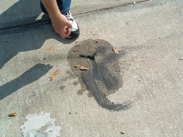 DSCF0064.JPG