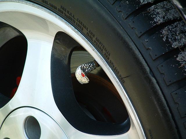 DSCF0057.JPG