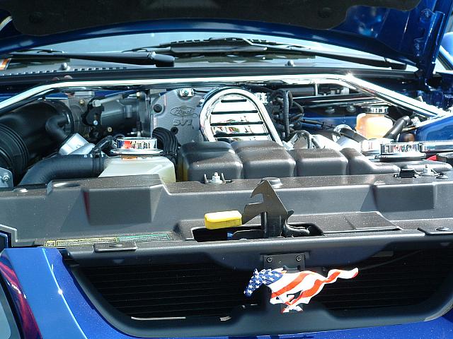 DSCF0061.JPG
