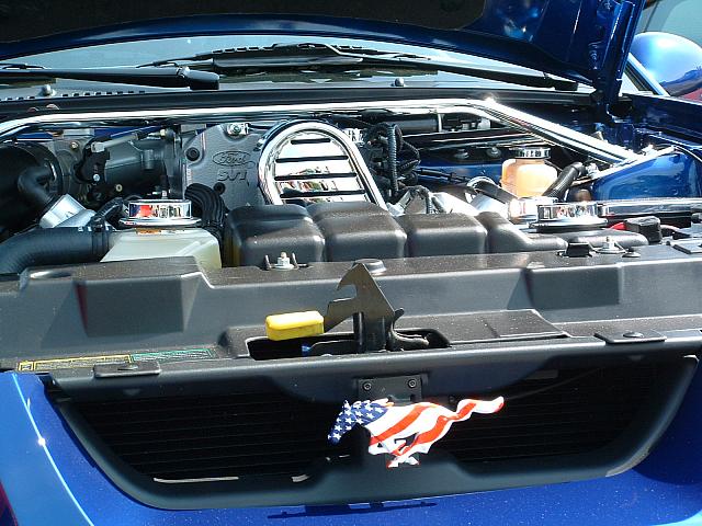 DSCF0062.JPG