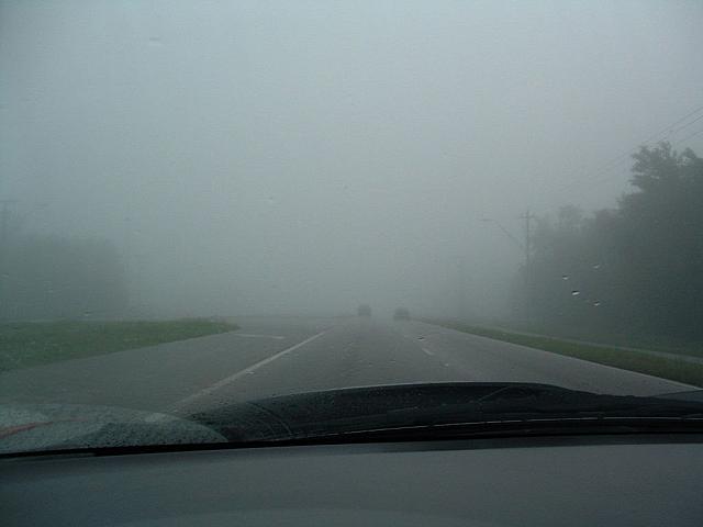 fog1.jpg