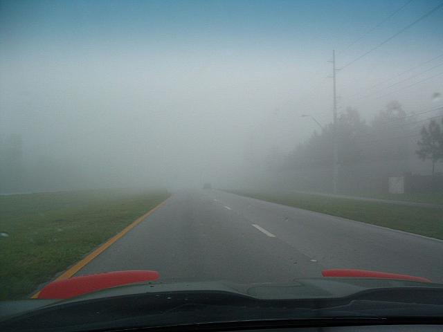 fog3.jpg