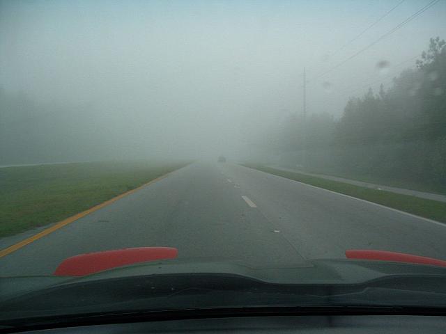 fog4.jpg