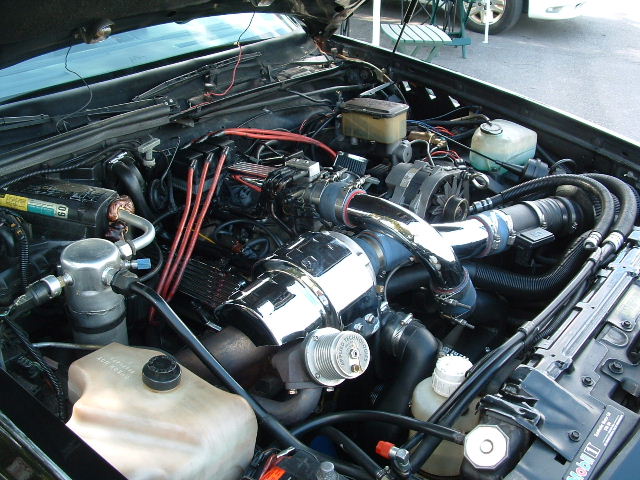 tr4-0026.JPG
