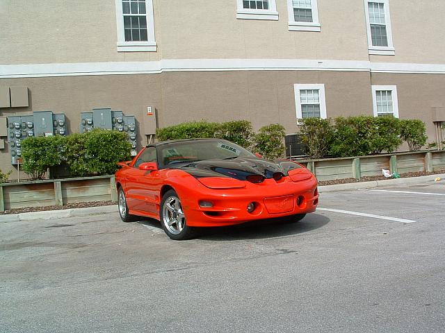 DSCF0001.JPG