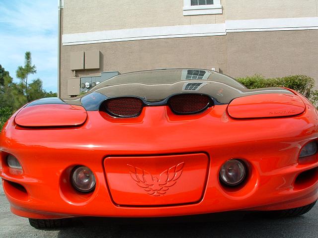 DSCF0018.JPG