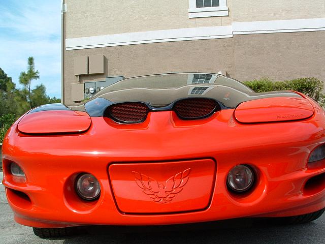 DSCF0019.JPG