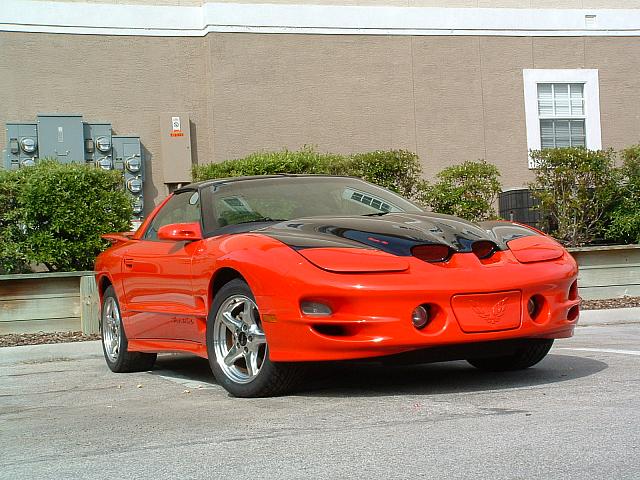 clayed03.JPG