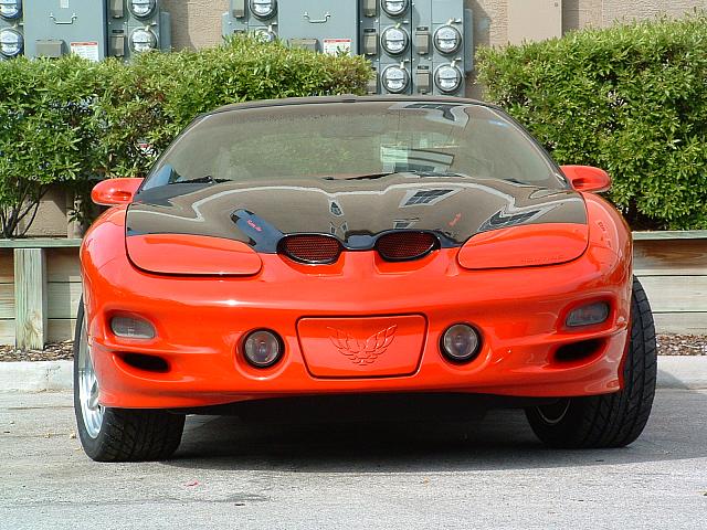 clayed04.JPG