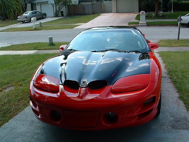 drvway01.JPG
