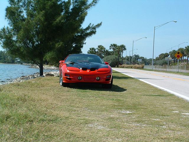 skyway04.JPG