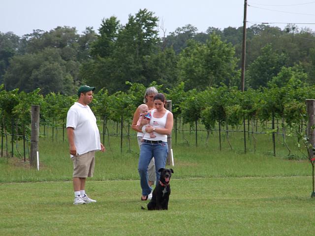 0707040015.JPG