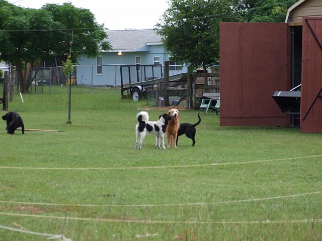 0707040016.JPG