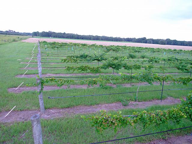 0707040026.JPG