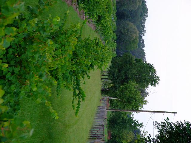 0707040028.JPG