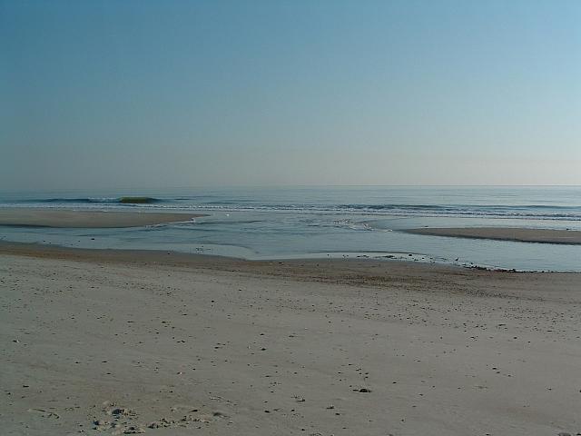 DSCF0013.JPG