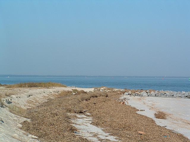 DSCF0021.JPG