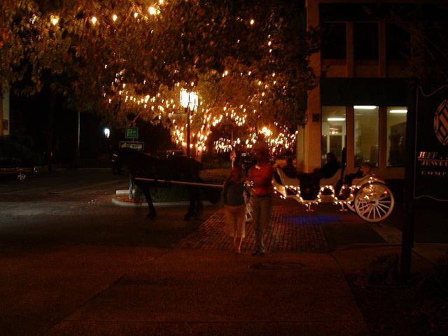 DSCF0117.JPG