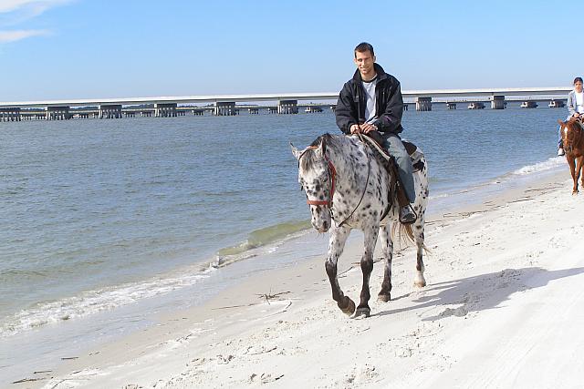 andy_horse1.jpg