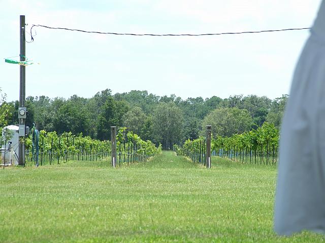 0706160026.JPG