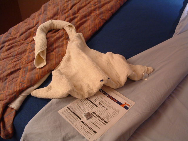 DSCF0049.JPG