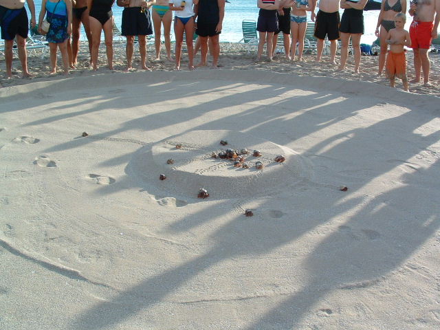 DSCF0082.JPG