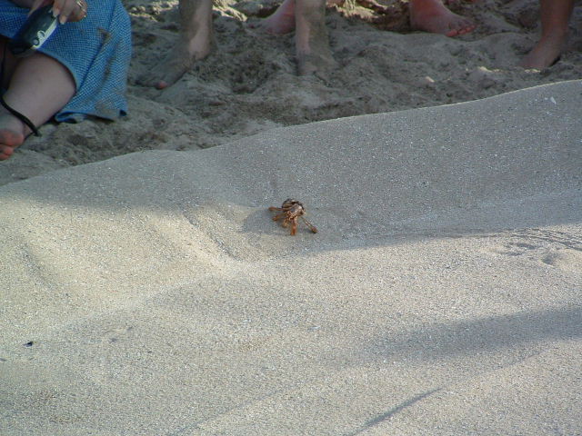 DSCF0083.JPG