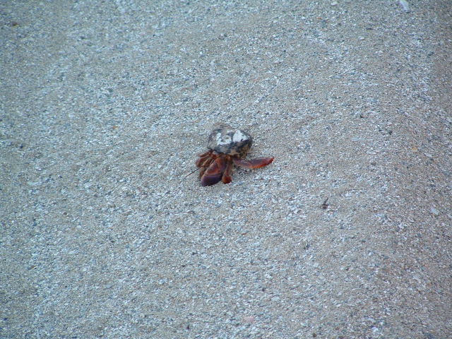DSCF0084.JPG