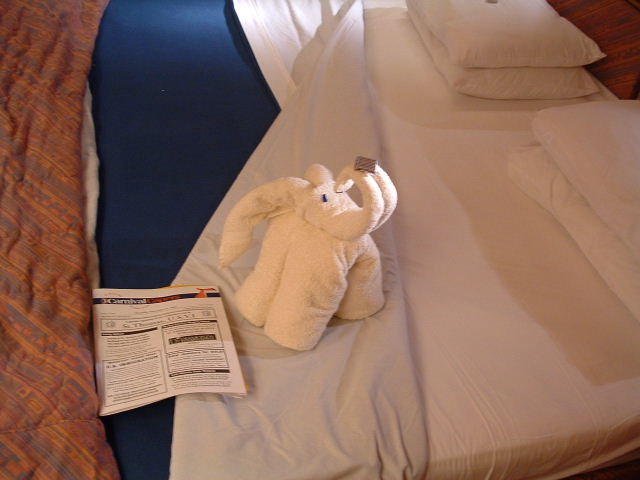 DSCF0102.JPG