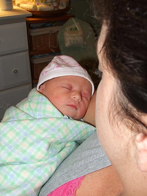 0810150066.JPG