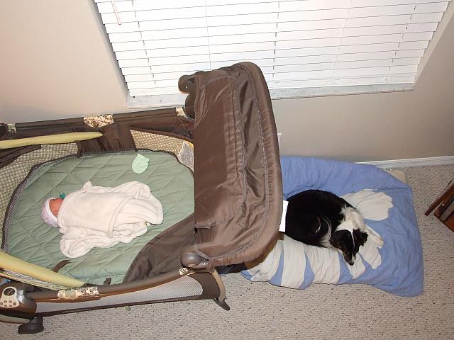0810150070.JPG