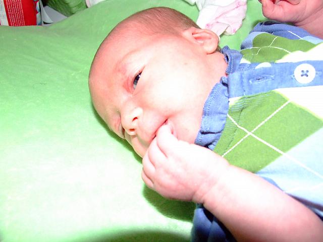 0811060029.JPG