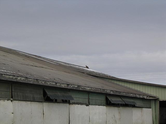 IMG_9600.JPG