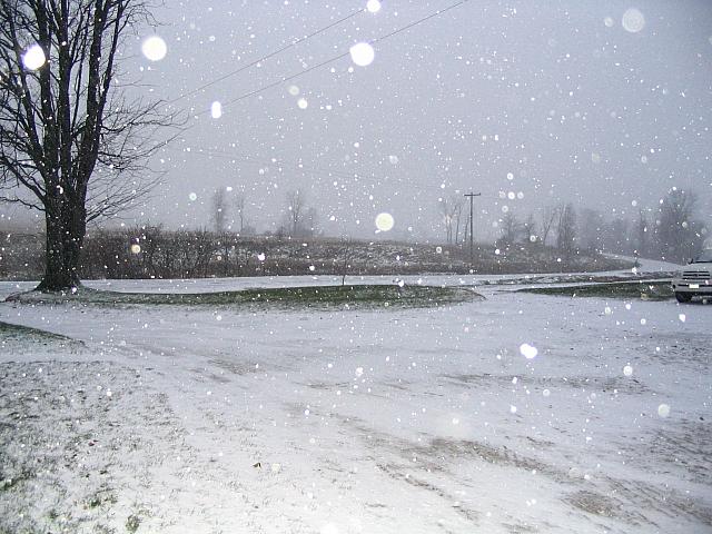 IMG_9648.JPG