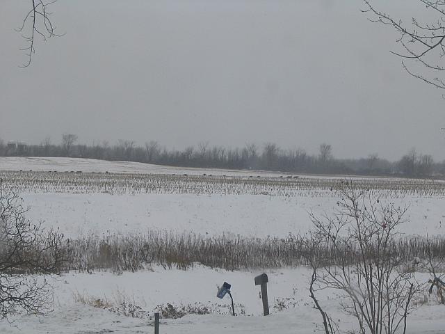 IMG_9681.JPG