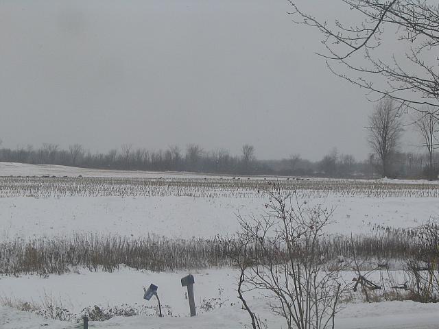 IMG_9682.JPG