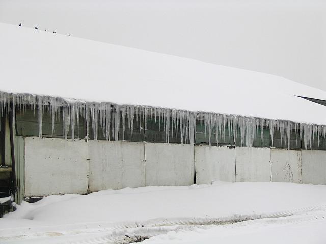 IMG_9684.JPG