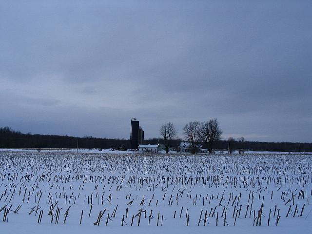 IMG_9686.JPG