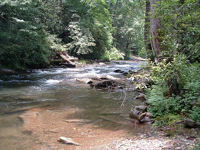 DSCF0016.JPG