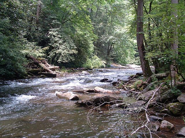 DSCF0019.JPG