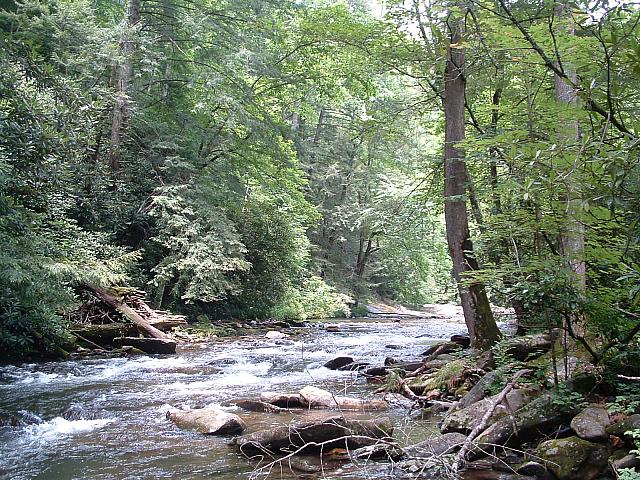 DSCF0020.JPG