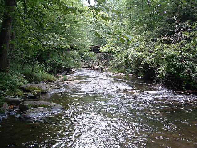 DSCF0021.JPG