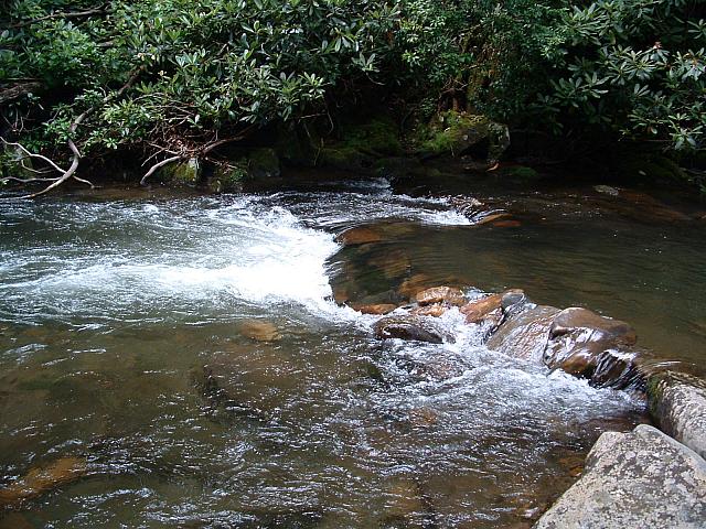 DSCF0022.JPG