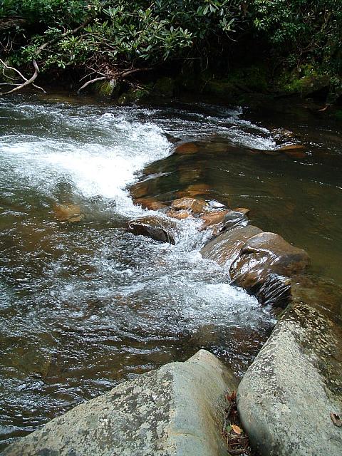 DSCF0024.JPG