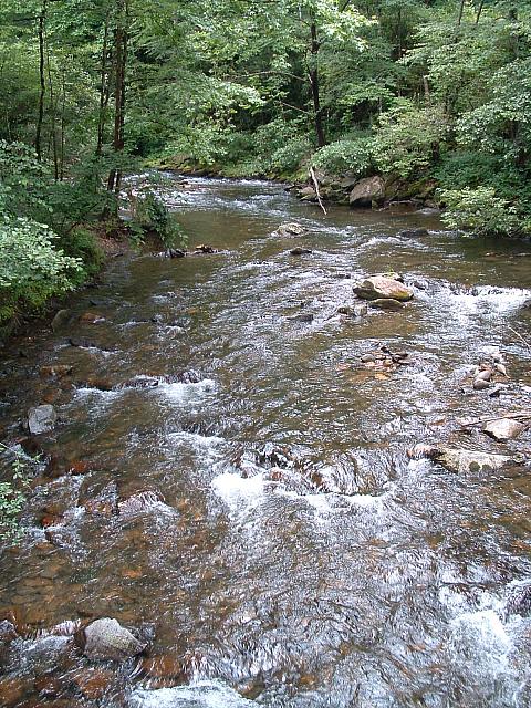 DSCF0037.JPG