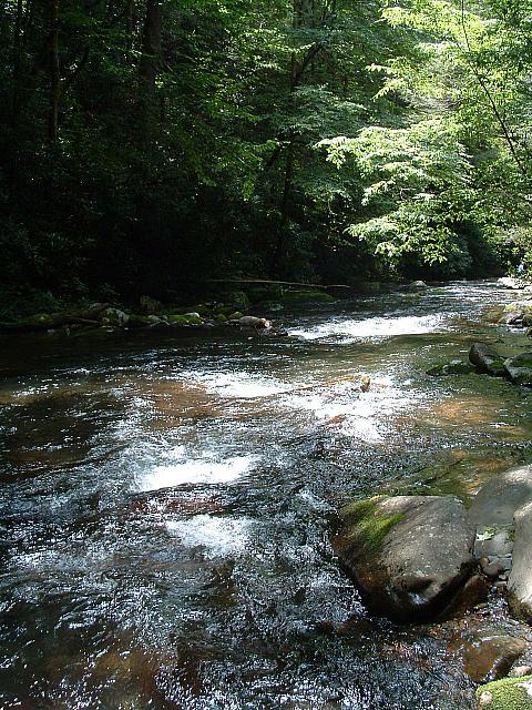 DSCF0042.JPG