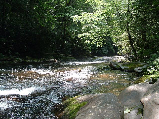 DSCF0045.JPG
