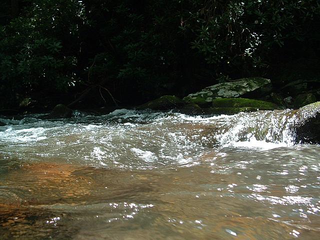 DSCF0047.JPG