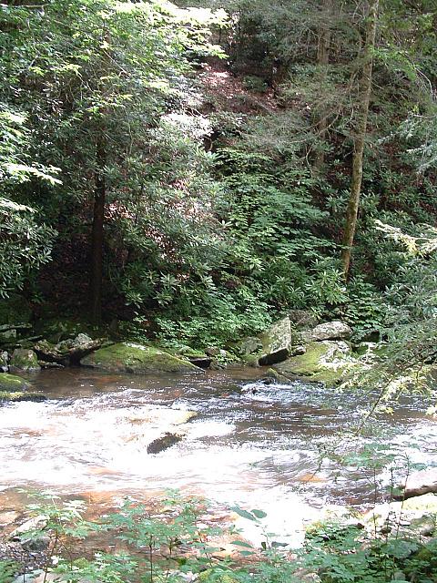 DSCF0050.JPG