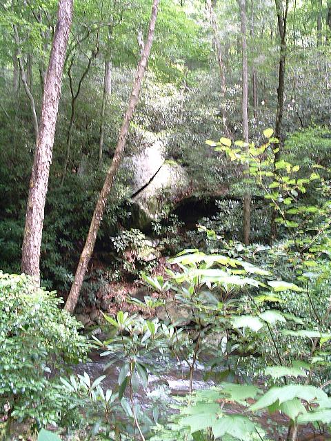DSCF0052.JPG